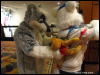 [WildBillTX FWA2009 162]