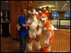 [WildBillTX FWA2009 174]