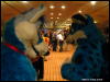 [WildBillTX FWA2009 177]