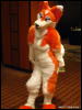 [WildBillTX FWA2009 180]