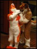 [WildBillTX FWA2009 181]