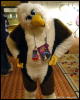 [WildBillTX FWA2009 226]