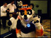 [WildBillTX FWA2009 241]