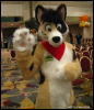 [WildBillTX FWA2009 242]