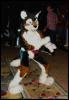 [WildBillTX FWA2009 247]