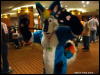 [WildBillTX FWA2009 261]