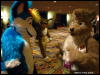 [WildBillTX FWA2009 262]