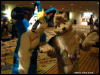 [WildBillTX FWA2009 263]