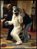 [WildBillTX FWA2009 267]