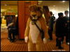 [WildBillTX FWA2009 272]