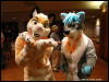 [WildBillTX FWA2009 274]