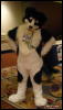 [WildBillTX FWA2009 276]