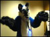 [WildBillTX FWA2009 281]