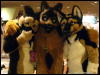 [WildBillTX FWA2009 284]