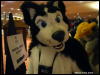 [WildBillTX FWA2009 290]