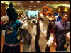 [WildBillTX FWA2009 375]