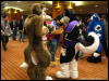 [WildBillTX FWA2009 376]