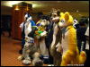 [WildBillTX FWA2009 379]