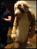 [WildBillTX FWA2009 385]