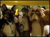 [WildBillTX FWA2009 386]