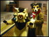 [WildBillTX FWA2009 387]