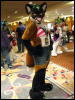 [WildBillTX FWA2009 403]