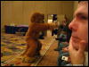 [WildBillTX FWA2009 465]