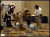 [WildBillTX FWA2009 474]