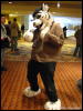 [WildBillTX FWA2009 496]