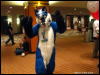 [WildBillTX FWA2009 501]