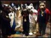 [WildBillTX FWA2009 504]