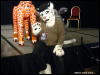 [WildBillTX FWA2009 522]