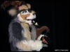 [WildBillTX FWA2009 572]