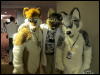 [WildBillTX FWA2010 038]