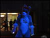 [WildBillTX FWA2010 041]