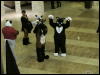 [WildBillTX FWA2010 056]