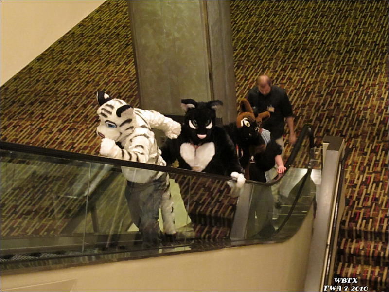 [WildBillTX_FWA2010_057.jpg]