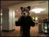 [WildBillTX FWA2010 058]