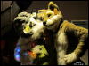 [WildBillTX FWA2010 060]