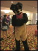 [WildBillTX FWA2010 075]