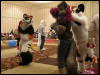 [WildBillTX FWA2010 096]