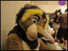 [WildBillTX FWA2010 106]