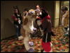 [WildBillTX FWA2010 107]