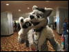 [WildBillTX FWA2010 110]