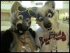 [WildBillTX FWA2010 114]