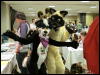 [WildBillTX FWA2010 121]