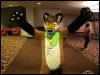 [WildBillTX FWA2010 122]