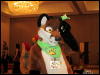 [WildBillTX FWA2010 123]