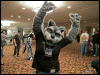 [WildBillTX FWA2010 127]