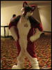 [WildBillTX FWA2010 134]